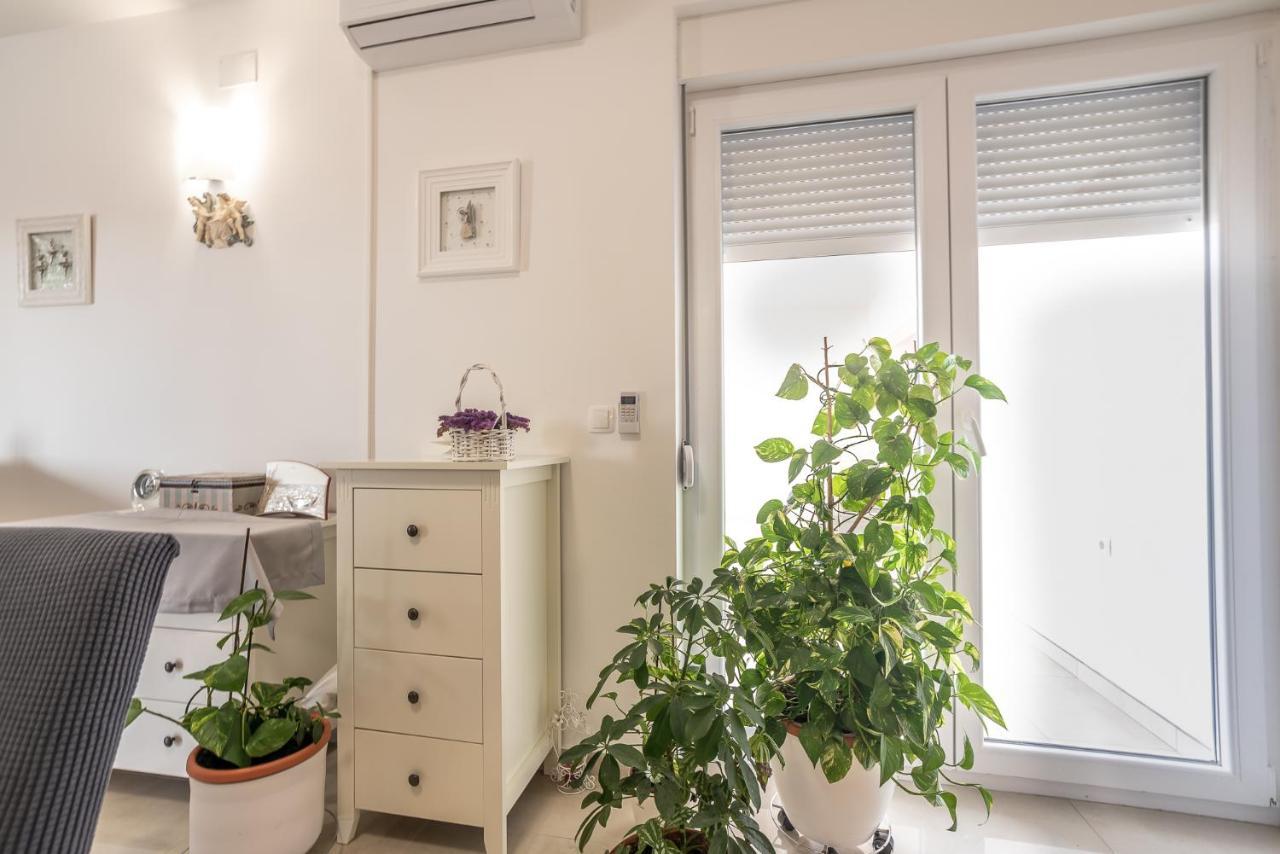 Apartments Sandrina Vrsi Eksteriør billede